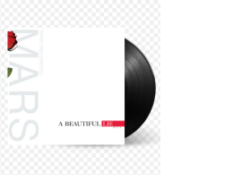 A Beautiful Lie LP Thirty Seconds To Mars Vinyl