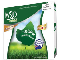 Set of 4 Preaw Chlorophyll Powder, Sachet Type, 4.25 g. x 48 Sachets