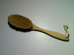 Skin cleansing brush