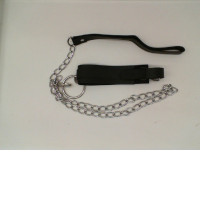 Black dog leash 