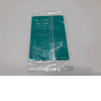 Japanese comic book Lightspeed