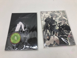Set of 2 artbooks NieR: Automata