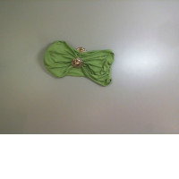 Women's top green with iron rose