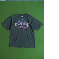 Grey men's t-shirt with CHAMPIONS printed