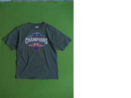Grey men's t-shirt with CHAMPIONS printed
