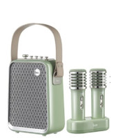 USED Divoom SongBird-HQ Karaoke speaker with portable microphone
