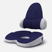 Set of 2 chair cushions