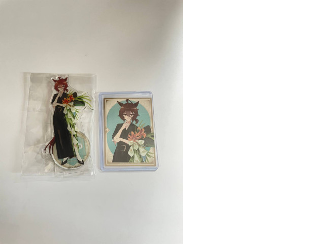 Set of 2 acrilyc stands Set of 2 acrilyc stands