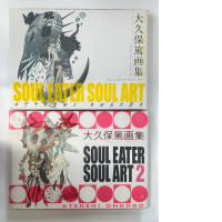 Set of 2 artbooks SOUL EATER