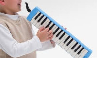 Musical instrument Pianica: keys