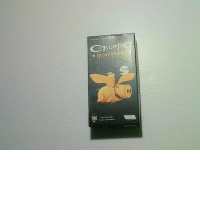 card-toy for a child