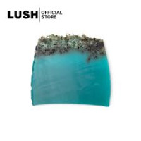 LUSH   SEA VEGETABLE SOAP 