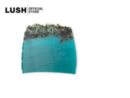 LUSH SEA VEGETABLE SOAP LUSH SEA VEGETABLE SOAP