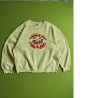 Light beige longsleeve with car print