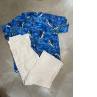 Summer suit: shortsleeved shirt and white pants