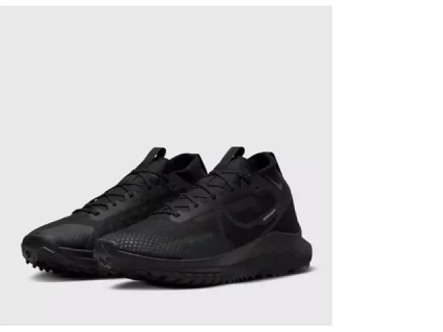 Nike React Pegasus Trail 4 GTX V2 Gore-Tex Black Men Trail Running HM9728-002 Nike React Pegasus Trail 4 GTX V2 Gore-Tex Black Men Trail Running HM9728-002