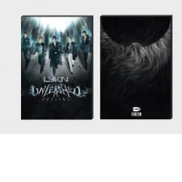 Set of 2 LYKN UNLEASHED CONCERT JUMBO POSTCARD SET