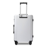 Large silver suitcase 