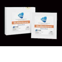 Set of 2  Blumembrane DM-EN-20160713 