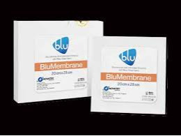 Set of 2  Blumembrane DM-EN-20160713 