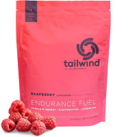 TAILWIND Isotonic Drink Mix 