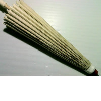 traditional umbrella