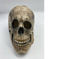 HALLOWEEN skull mask