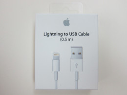 Apple Lightning to USB Cable (0.5m) 