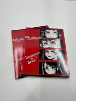 Set of Chemistry work notebooks