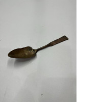 Iron  spoon