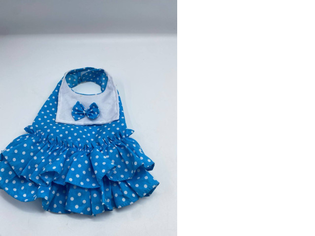 Dog blue wear Dog blue wear