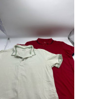 Set of 2 t-shirts with collar