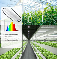 USED TBWTEK Customized IP65/IP67 Waterproof 1200W 1000W 800W 500W LED Grow Light Driver 0-10V Constant Current Dim-to-Off Dimmable complete with lamps USED TBWTEK Customized IP65/IP67 Waterproof 1200W 1000W 800W 500W LED Grow Light Driver 0-10V Constant Current Dim-to-Off Dimmable complete with lamps