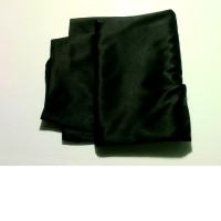 black silk skirt black silk skirt