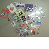 Set of 30 magnets from different countries