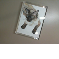 Cat painting in photo frame