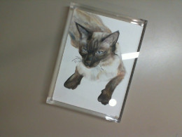 Cat painting in photo frame Cat painting in photo frame