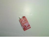 Watermelon Tattoo Lip Serum