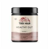Terra Origin Healthy Gut Berry Powder