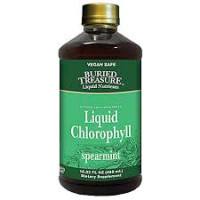 Buried Treasure Spearmint Liquid Chlorophyll