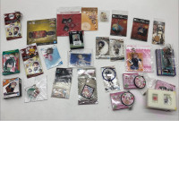 Set of acrilyc keychains