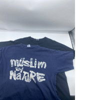 Set fo 2 Blue round neck t-shirt