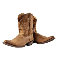 Classic cowboy boots with pointed toes