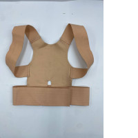 Back posture corrector