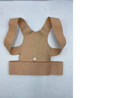 Back posture corrector