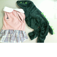 Set of 2 Dog Costumes