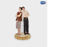 AOUBOOM ACRYLIC STANDEE