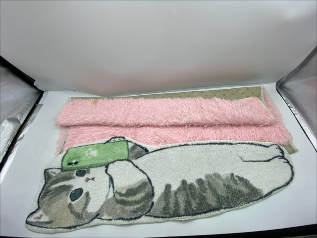 Set of 2 Doormat Set of 2 Doormat