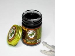 Set of 6 Green Hot Balm Crocodile CoCo D