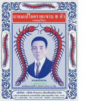 Set of 5 Centipede brand cough drops (herbal flavor)